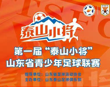 第一届“泰山小将”山东省青少年足球联赛开始报名了！