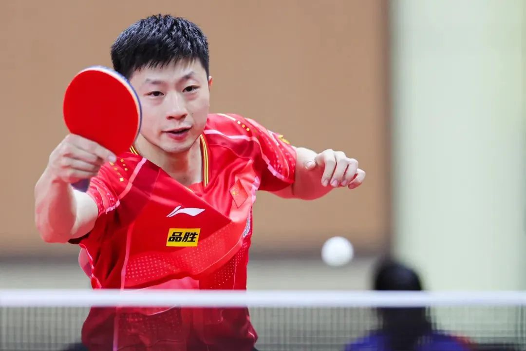 2023乒乓球亚锦赛圆满收官 鲁能乒超队员助力国乒再创佳绩